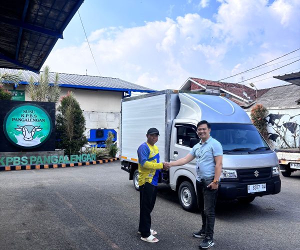 WhatsApp Image 2026-03-02 at 12.37.31